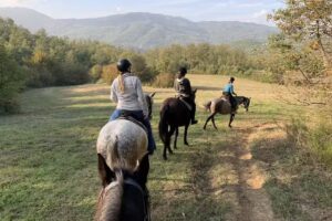 Hooves Around the World