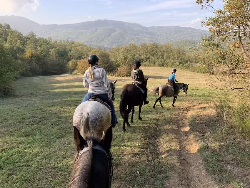 Hooves Around the World