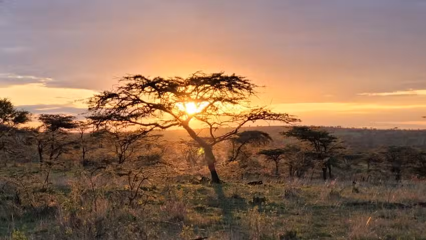 Horizon Africa Safaris