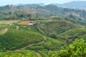 HSS Azi&euml; reizen