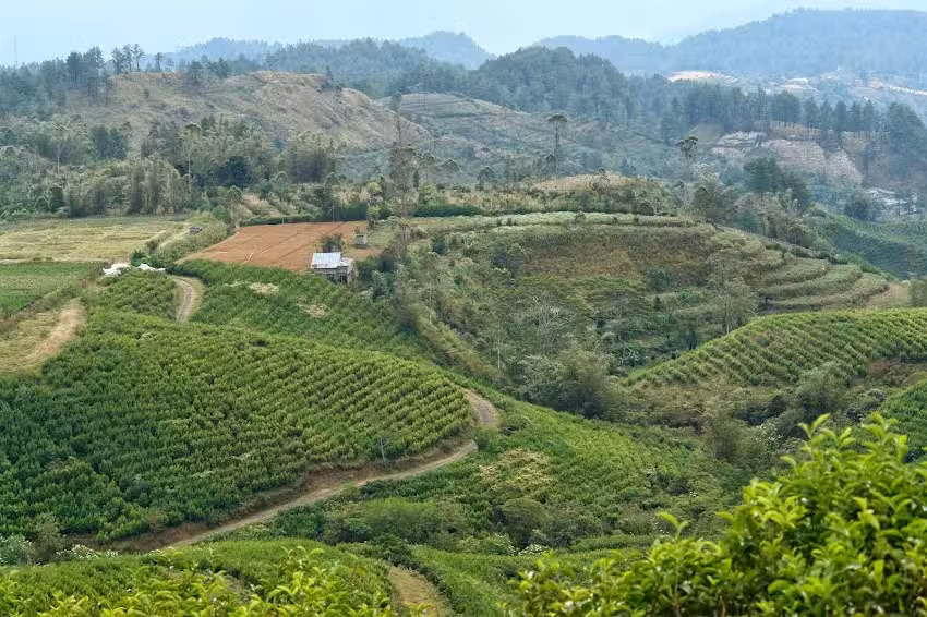 HSS Azi&euml; reizen