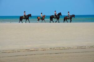 Huifkarbedrijf Terpstra Terschelling