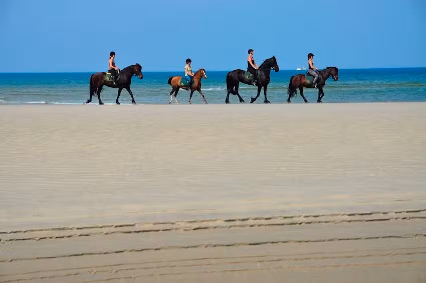Huifkarbedrijf Terpstra Terschelling