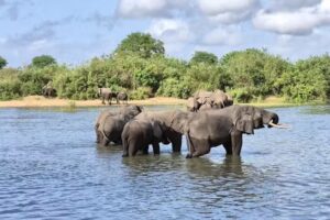 J-line &ndash; Personal Touch Travel