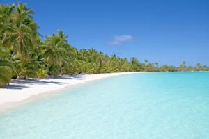 Jessy’s Reisservice