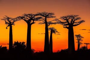 Kim Paffen Photography & Travel Content Creation