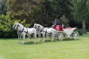 Koetsen.nl &ndash; Jacob van den Broek koets verhuur bruiloft en uitvaart
