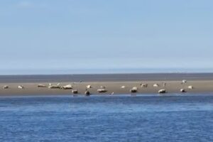 Kornelis Jan Sportvisserij & Rondvaarten Lauwersoog