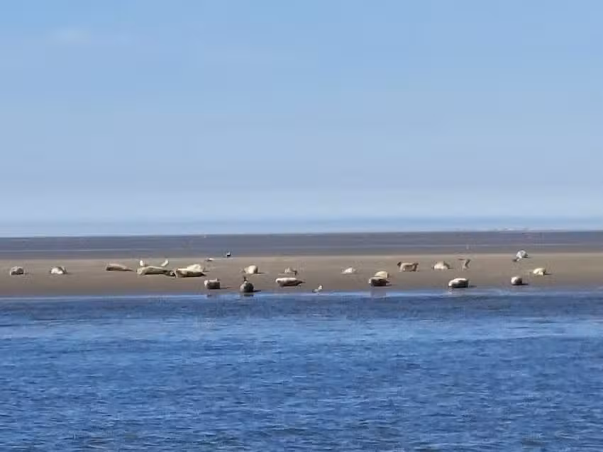 Kornelis Jan Sportvisserij & Rondvaarten Lauwersoog