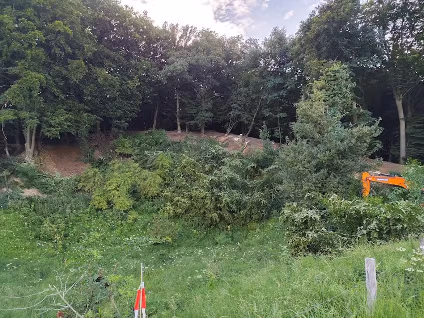 Krijtrots van Heimans