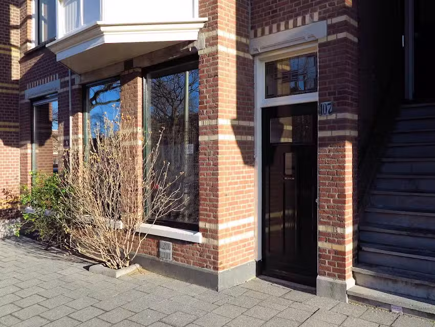 Kussengevecht Office