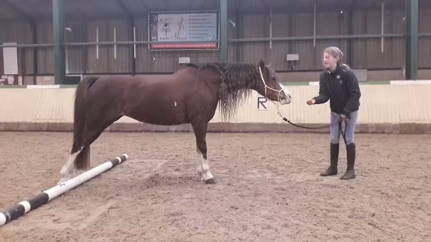 Landelijke Rijvereniging/Pony Club Zaanse Ruiters