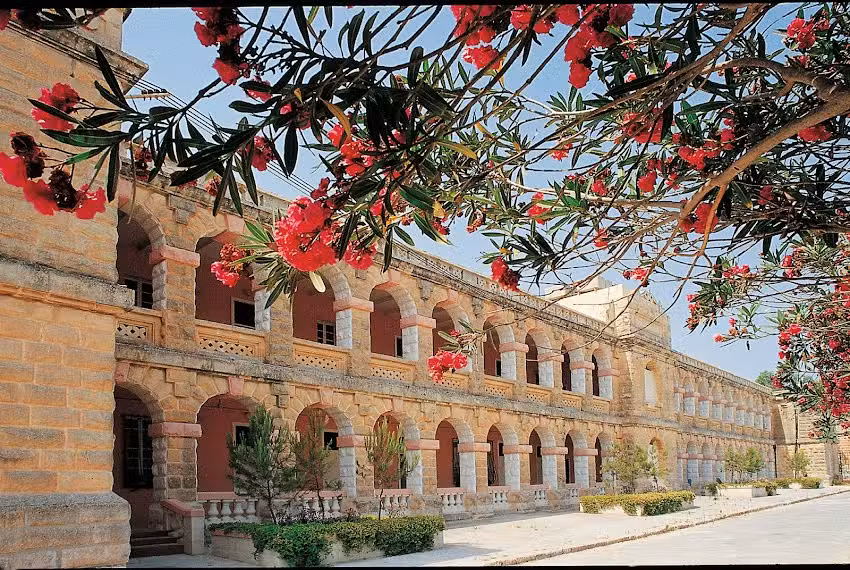 Languages PLUS Taalreizen