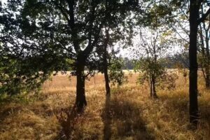 Leuke uitstapjes voor senioren