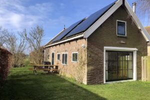 Limosa Kathoek Terschelling