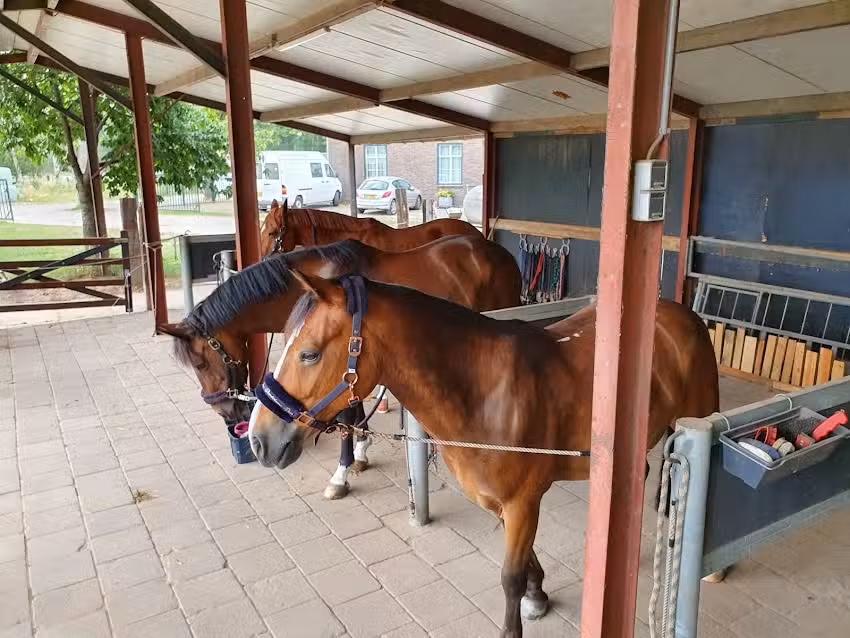 Manege de Boschhoeve