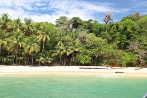 Miranda Boekestijn – Springer Travel Counsellor