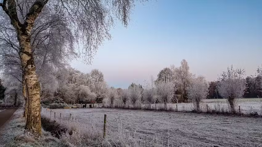Natuurhuisje Fazantenhof