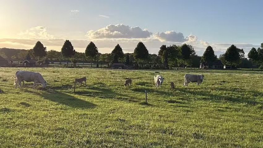 Natuurhuisje &rsquo;t Hoogbos