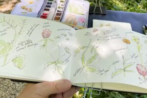 Natuurlijk Zeker wildpluk en meer