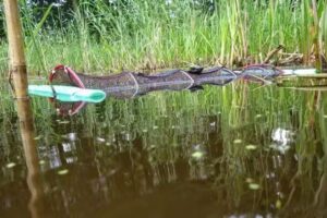 Natuurrijke Ontdekkingen