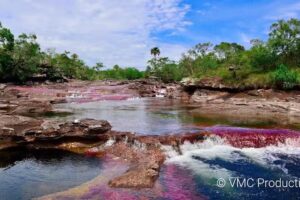 Next Travel Magazine