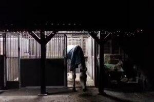 NoorderHome Recreatie & Vastgoedbeheer