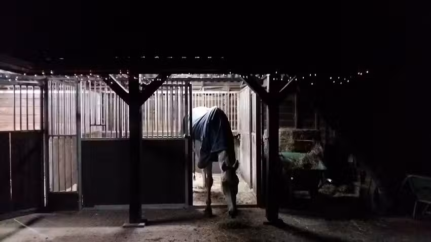 NoorderHome Recreatie & Vastgoedbeheer