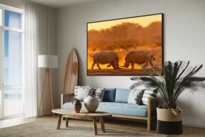 Orange Africa Travel