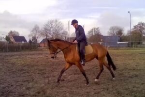 P.F. Zigterman Rustenburg