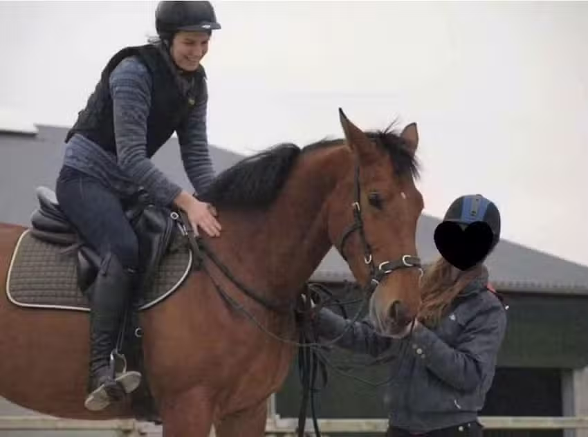 Paard en Instructie