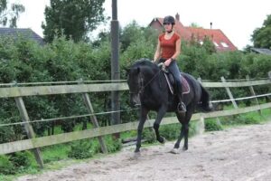 Paard & Training in Balans
