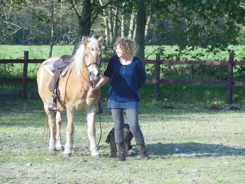 Paardencoaching Sonneborghe