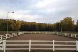 Paardenhouderij D&rsquo;n Bles
