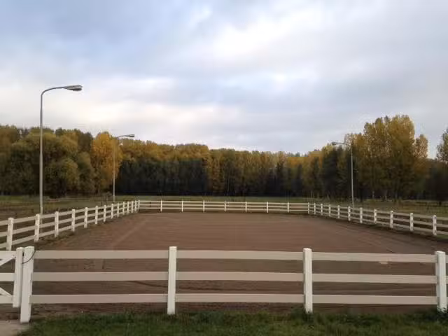 Paardenhouderij D&rsquo;n Bles