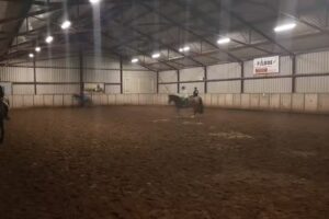 Paardensportvereniging De Pion