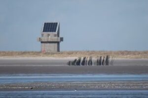 Phoca Company Vlieland