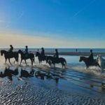 Pony Adventures Haamstede