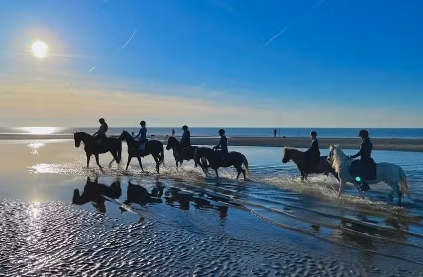 Pony Adventures Haamstede