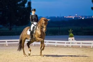 Pony-Club en Rijvereniging De Sportvrienden
