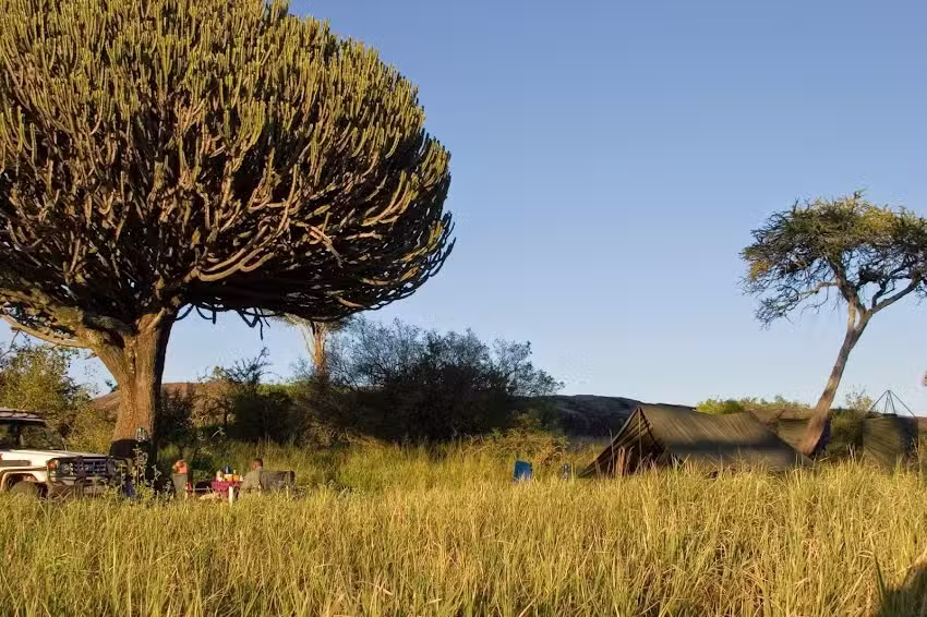 Prive Safari &ndash; klassieke tent safari&rsquo;s in Tanzania.