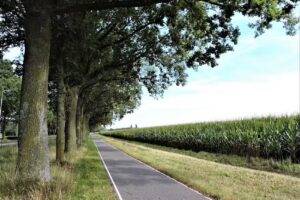 Proeflocatie LIFE-Project