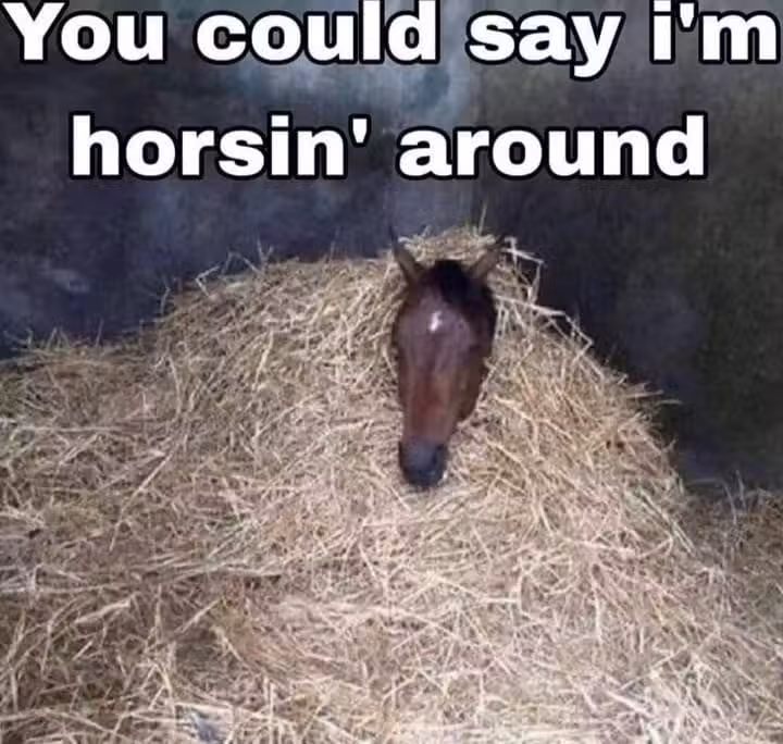 Quint Adrianus Jacobus Versluijs