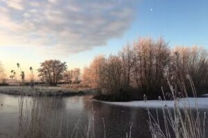 Recreatiewoning Rietveldsepad 27 (=Rietveld 27)