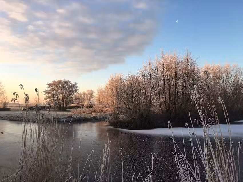 Recreatiewoning Rietveldsepad 27 (=Rietveld 27)