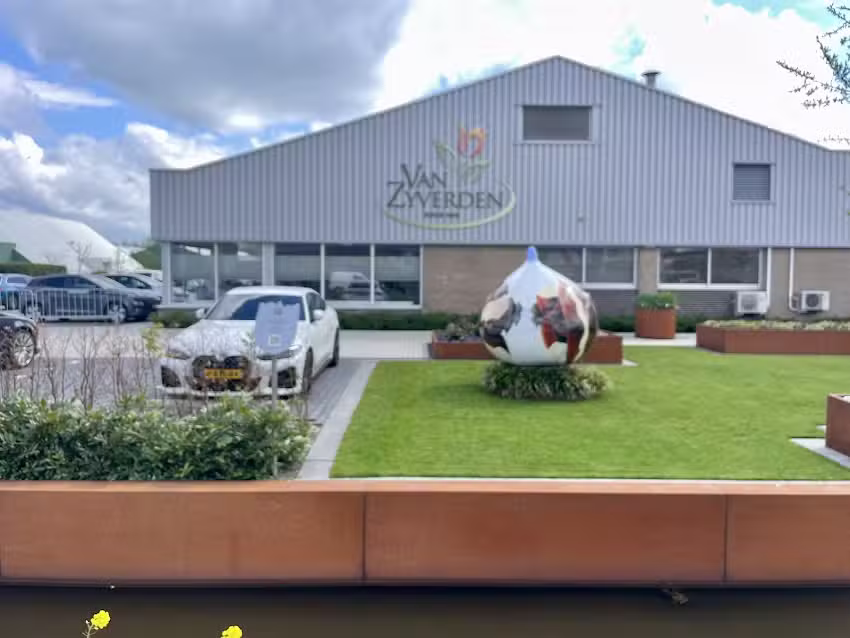 Reuzenbol: &lsquo;bibelebolse bergen&rsquo;