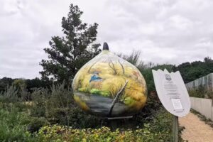 Reuzenbol: &lsquo;de oude duinen&rsquo;