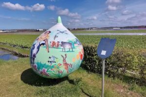 Reuzenbol: Langeveld