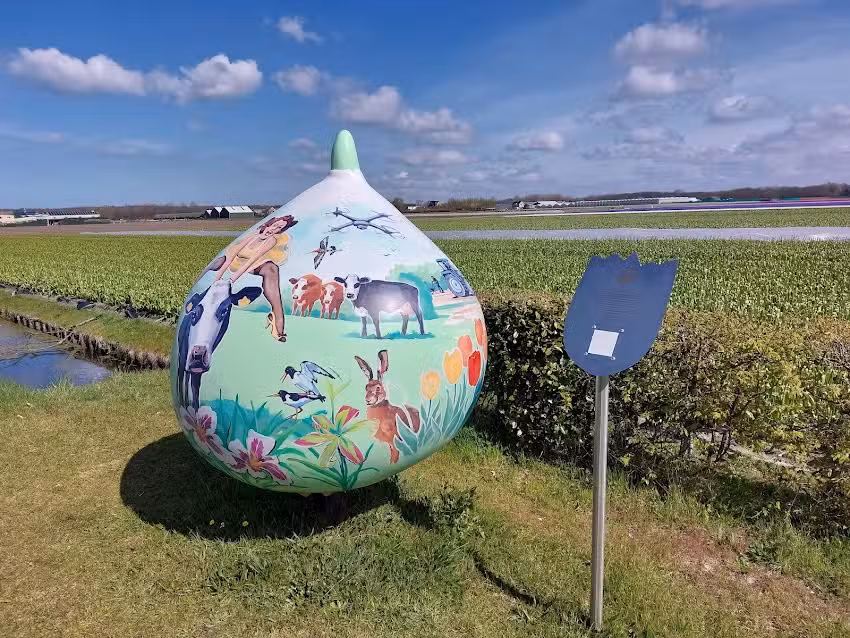 Reuzenbol: Langeveld