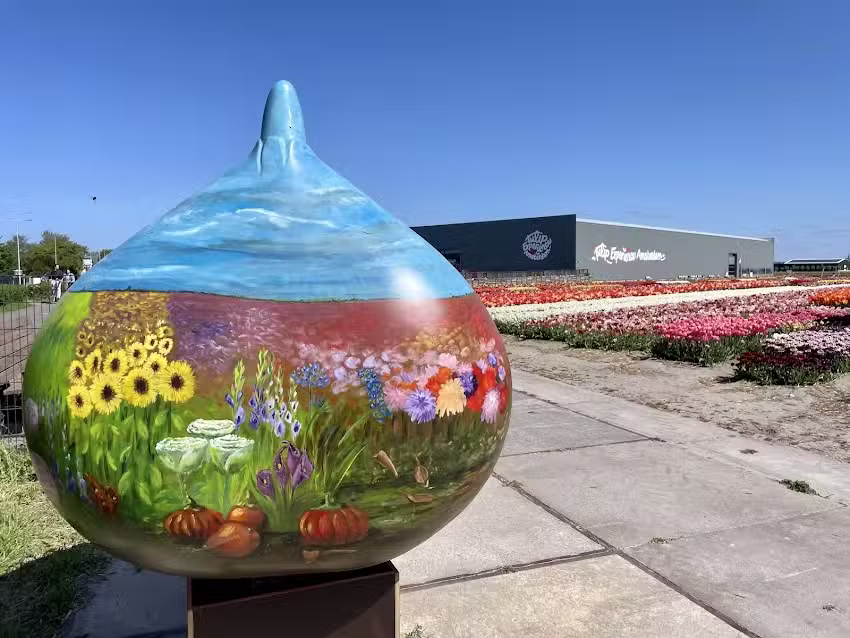 Reuzenbol: &lsquo;vier seizoenen&rsquo;